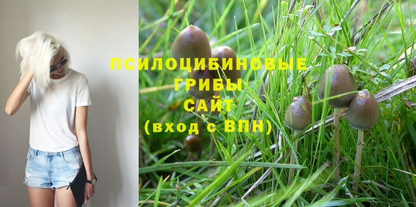 экстази Алзамай