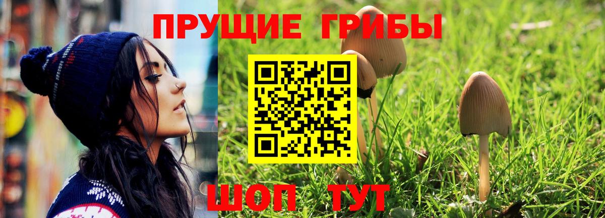 Галлюциногенные грибы GOLDEN TEACHER  Вход с VPN  Касимов 