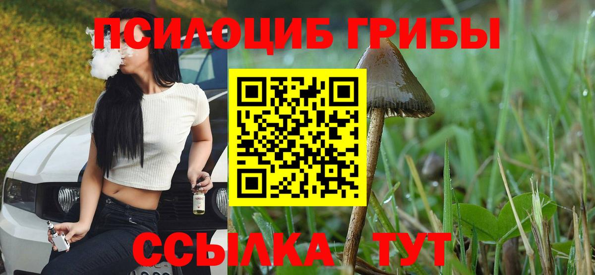 Галлюциногенные грибы Cubensis Касимов